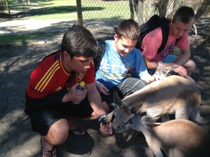 Brian, Donald, and Alex feeding the kangaroos